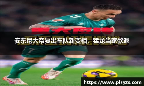 leyu·乐鱼(中国)体育官方网站