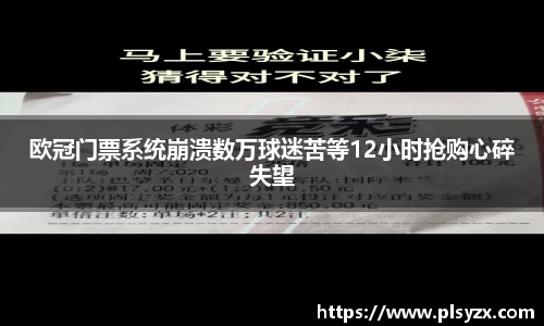 欧冠门票系统崩溃数万球迷苦等12小时抢购心碎失望