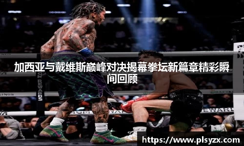 加西亚与戴维斯巅峰对决揭幕拳坛新篇章精彩瞬间回顾