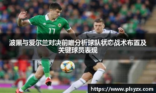 波黑与爱尔兰对决前瞻分析球队状态战术布置及关键球员表现